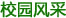 招生信息