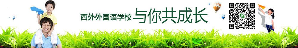 大红鹰dhy7788简介
