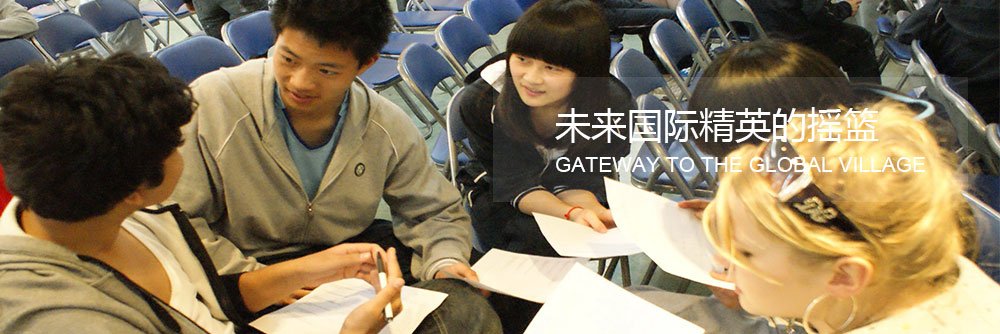 大红鹰dhy7788简介